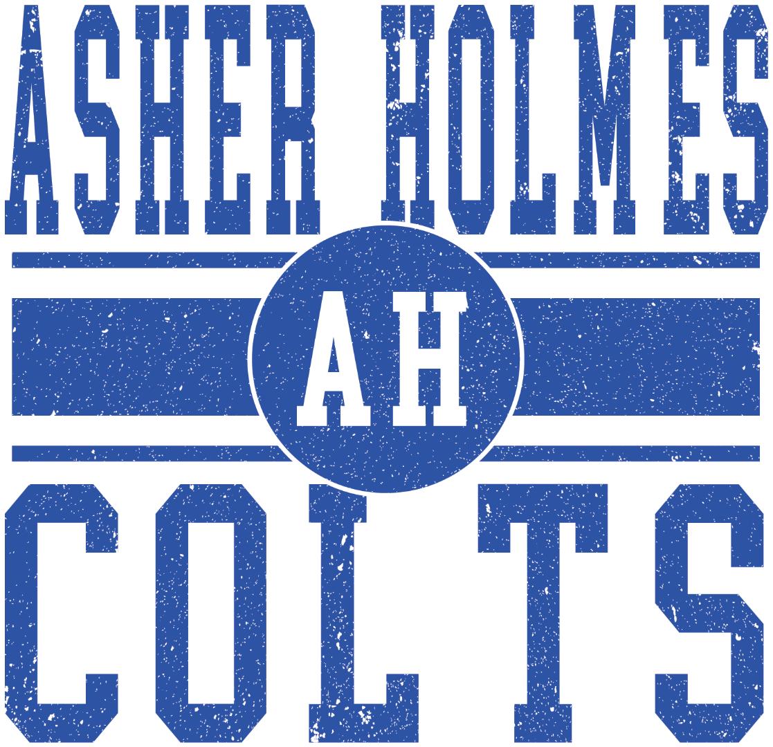 PTBoard Asher Holmes Elementary School PTA